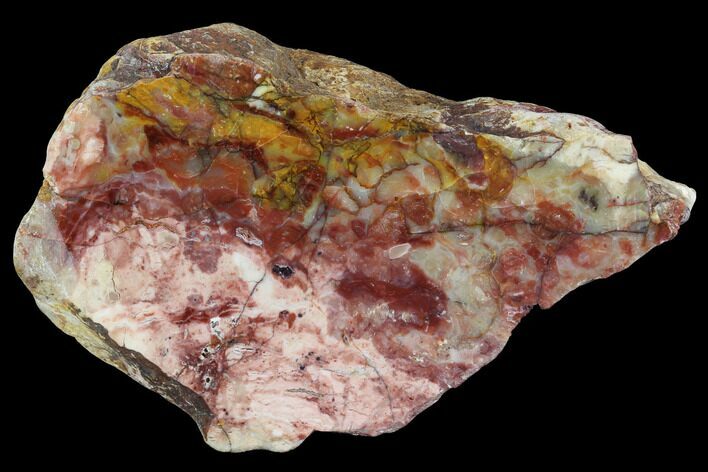 Polished, Brecciated Pink Opal Section - Western Australia #96305